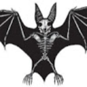 Meet your Posher, Luis